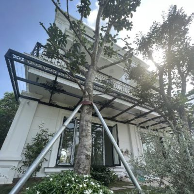 Mái kính sân vườn tạo không gian gần gũi thiên nhiên Mái kính sân vườn tạo không gian gần gũi thiên nhiên