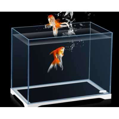 Sản xuất bể cá kính cường lực, bể cá thủy sinh theo yêu cầu tại Hà Nội
