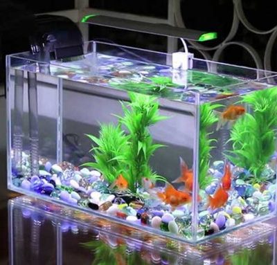 Bể cá kính cường lực hình chữ nhật