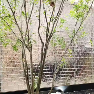 Gạch kính làm tường rào bên ngoài công trình